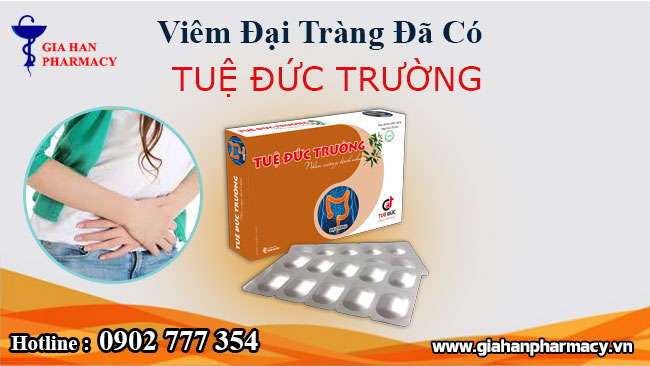 tuệ đức trường giá bao nhiêu