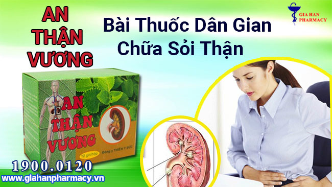 Bài thuốc dân gian chữa sỏi thận