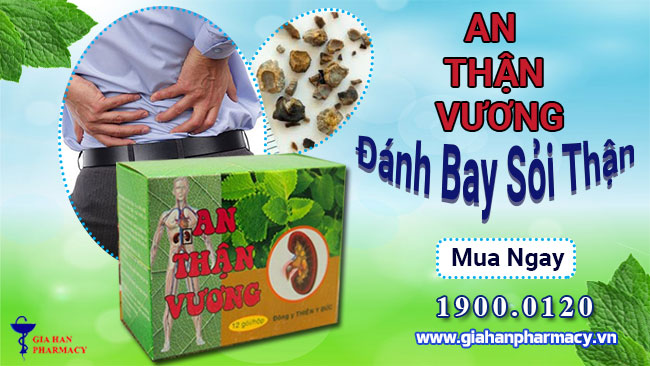 An Thần Vương Có Tốt Không