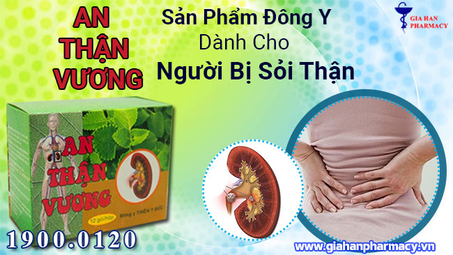 Bài thuốc dân gian chữa sỏi thận