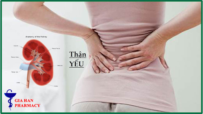 Triệu chứng suy giảm chức năng thận