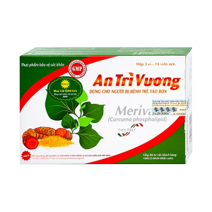 An Trĩ Vương
