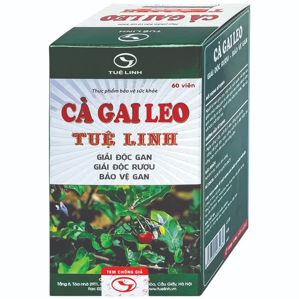 Cà Gai Leo Tuệ Linh