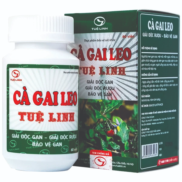 Cà Gai Leo Tuệ Linh