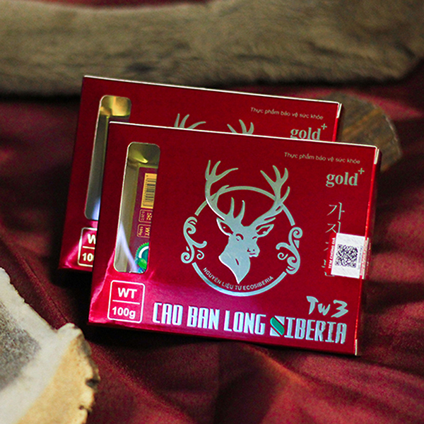 Cao Ban Long Siberia Tw3