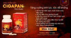 nhung hươu CigaPan