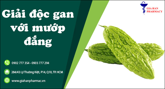 Mướp đắng có nhiều tác dụng lợi gan