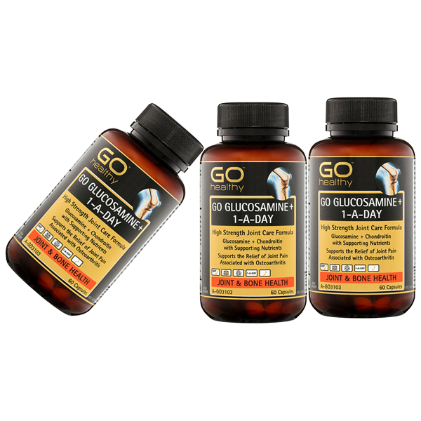 GO GLUCOSAMINE 1-A-DAY