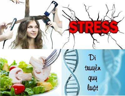 Các nguyên nhân khiến tóc rụng nhiều