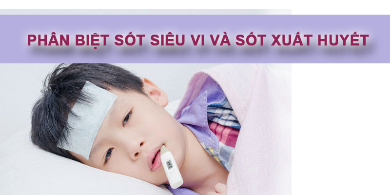Phân biệt sốt siêu vi và sốt xuất huyết