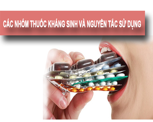 Các nhóm thuốc kháng sinh