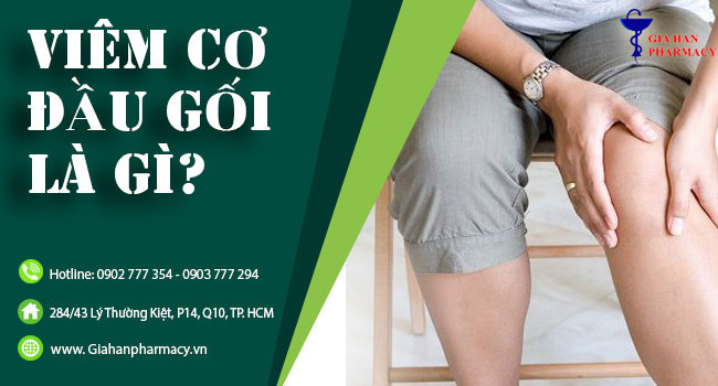 Đầu gối là nơi tập trung nhiều bó cơ như cơ may, cơ thon, cơ bán mạc, cơ bán gân...