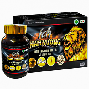 Ích Nam Vương