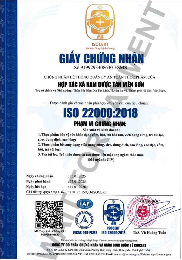 Cao Việt Hoàng