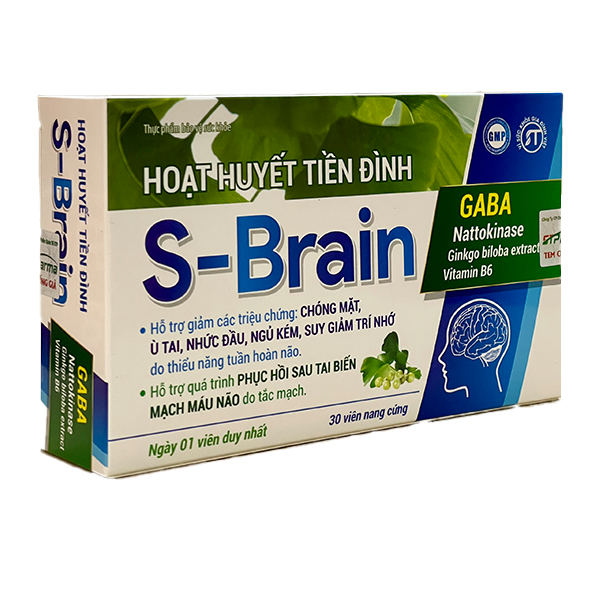 S-Brain