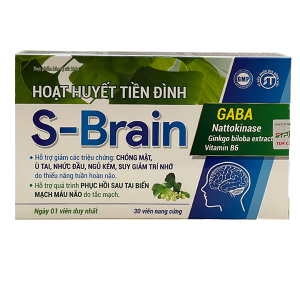 S-Brain