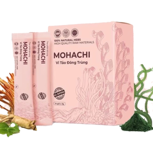 vi-tao-dong-trung-mohachi