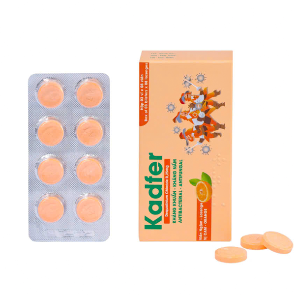vien-ngam-kadfer