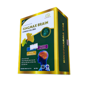 kingmax-brain-ginkgo-biloba