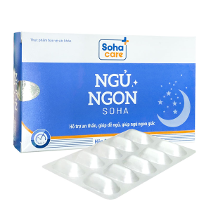 ngu-ngon-soha